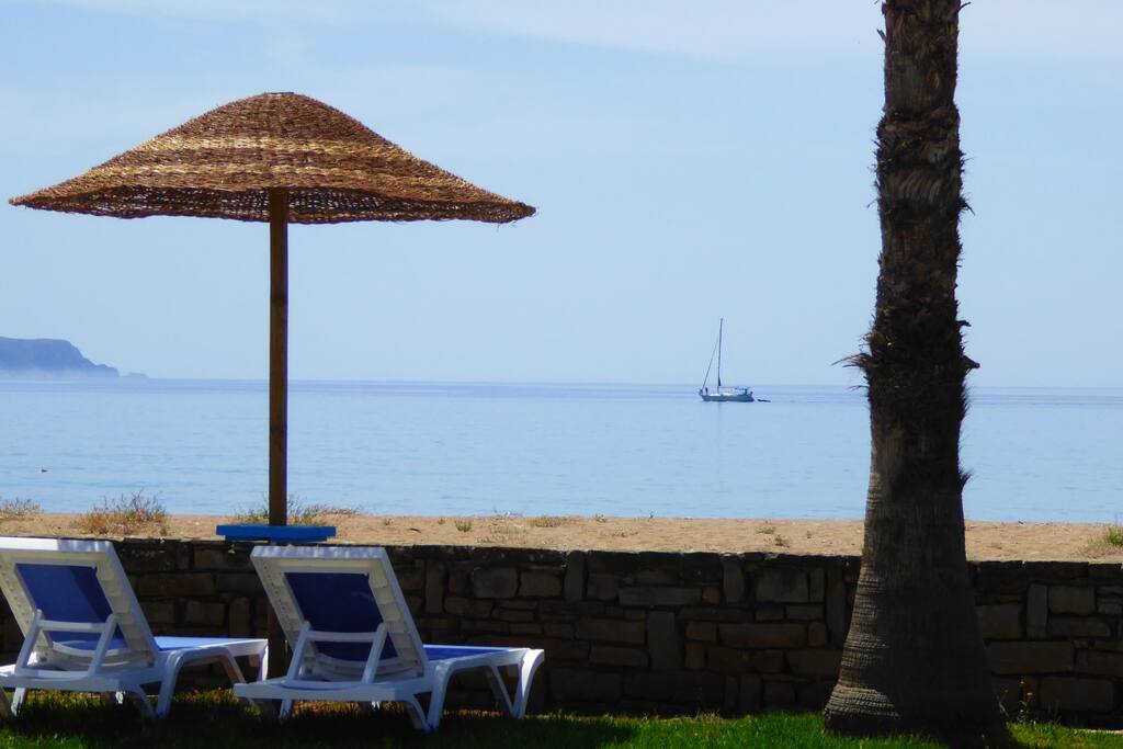 garden & beach