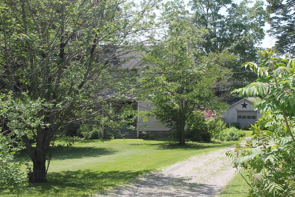 Front of the House