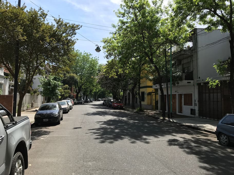 Calle