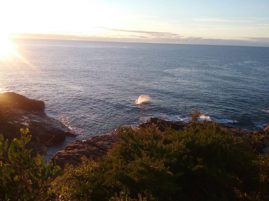 The Beautiful Sapphire Coast a minutes walk down the end of Murunna st with a cuppa in the morning