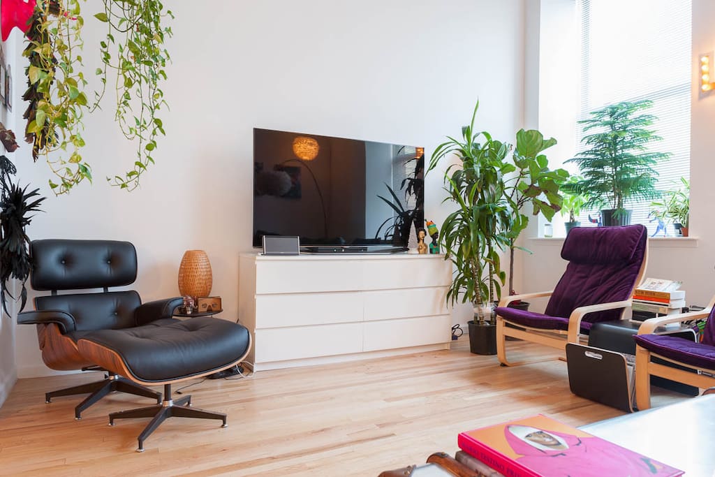 TV. Cable TV. Natural Light. Fantastic living room. Trendy Furniture