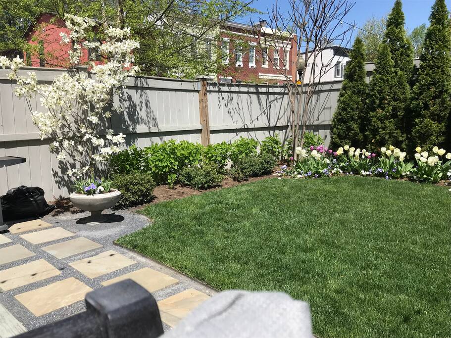 3 season blooms; summer hydrangeas everywhere