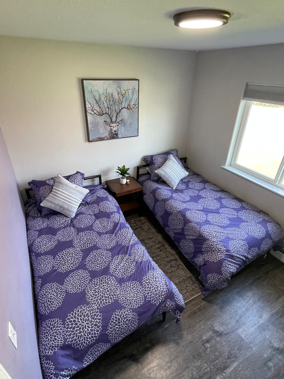 חדר שינה 2: עם שתי מיטות נפרדות.  