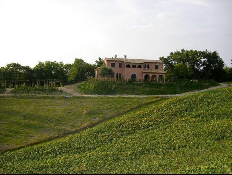 Immerso nel verde della campagna per un completo relax