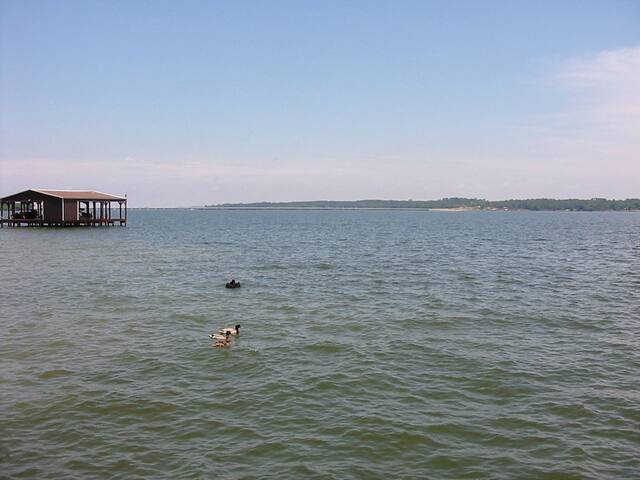 Coffee Landing Cabins On Lake Palestine Tyler Cottages For Rent