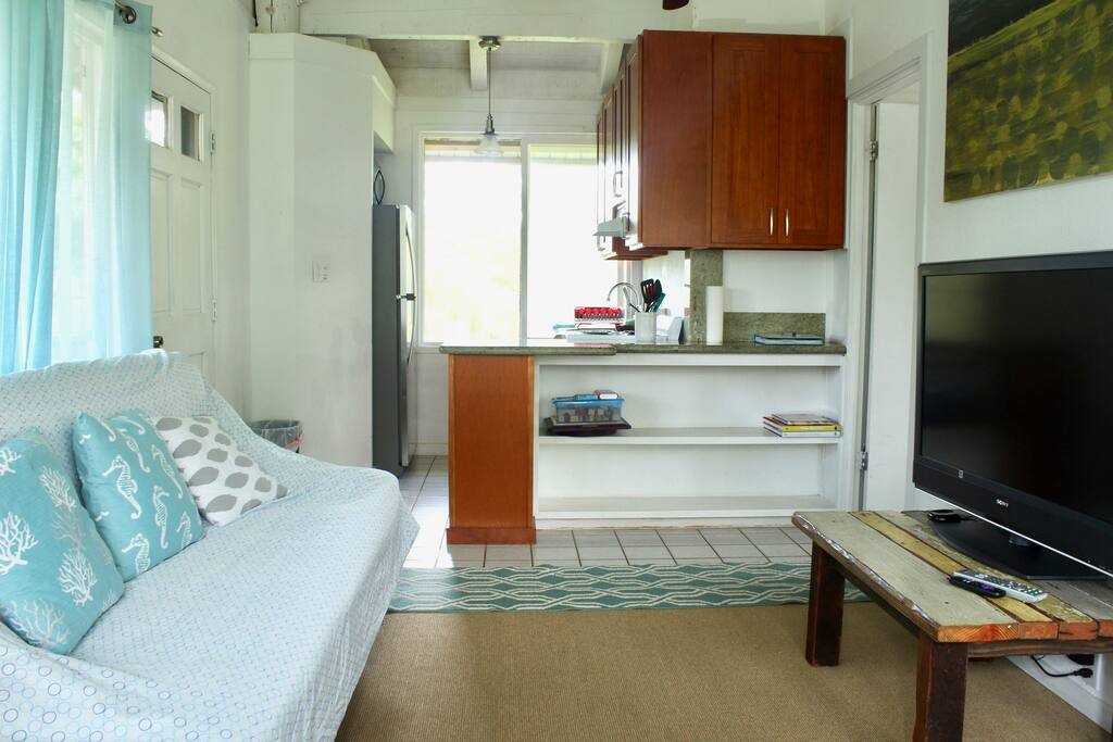 Cozy and bright living room with fold down futon for extra guests. Large flatscreen TV