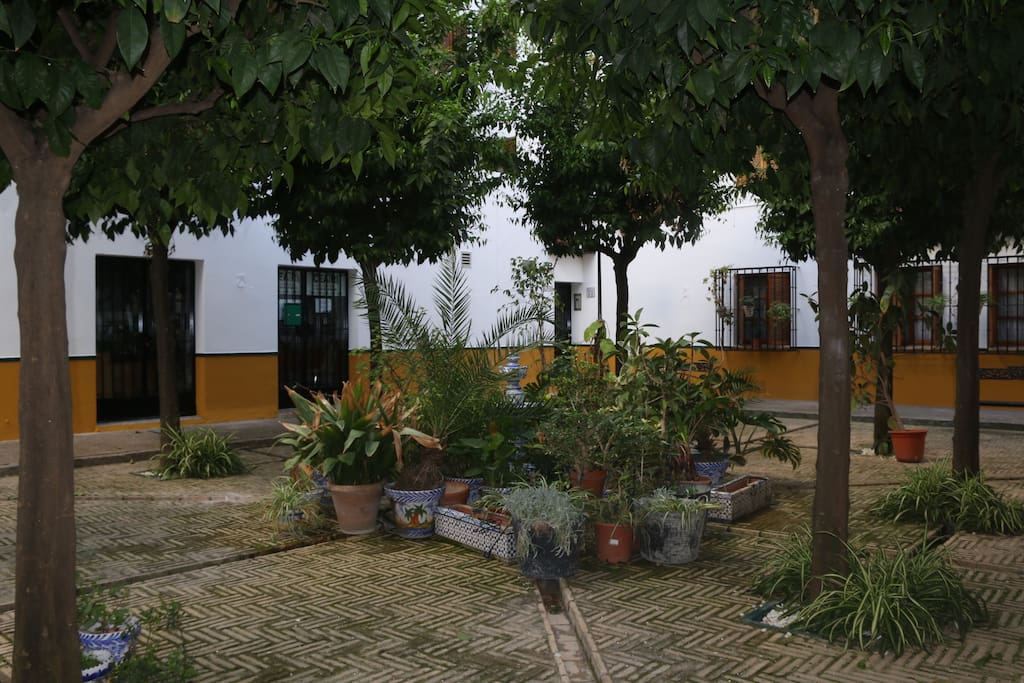 Patio del bloque