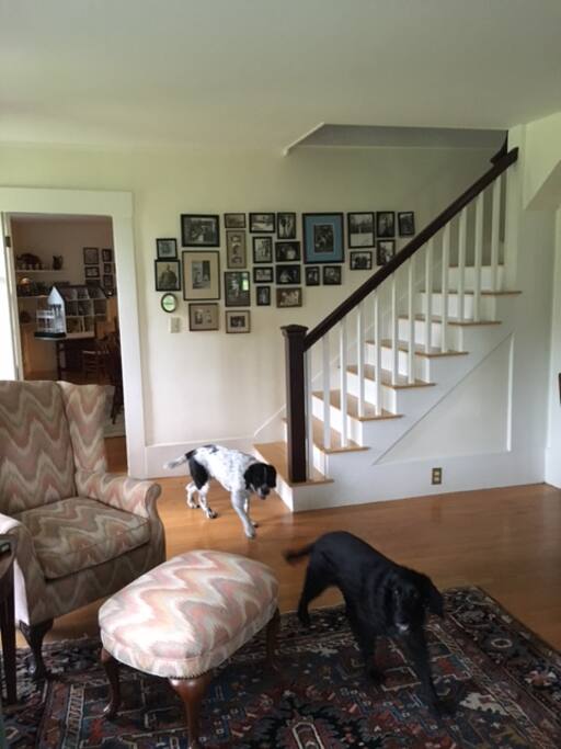 Living room 2