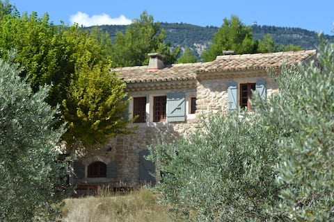 Large Provençal Bastide – With Private Pool
