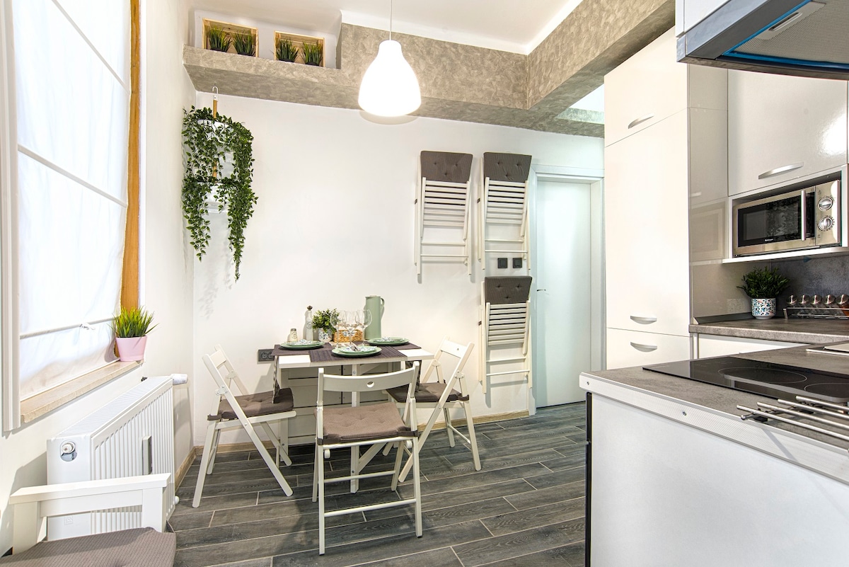 A modern kitchenette is featured with white cabinetry and a sleek stove. A dining table is set with neutral-toned chairs, surrounded by indoor plants. Light fills the space through a large window adorned with soft curtains, enhancing the clean and functional design.