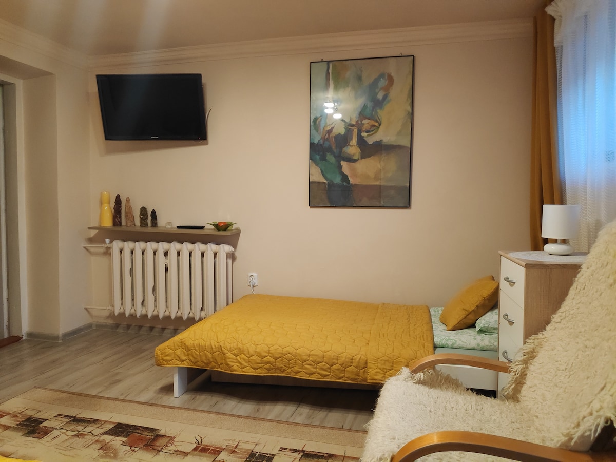 A cozy room features a low bed with a yellow coverlet, complemented by a green accent. A piece of abstract art hangs above a light-colored nightstand, while a soft armchair and a flat-screen television are positioned for relaxation. Natural light enters through sheer curtains.