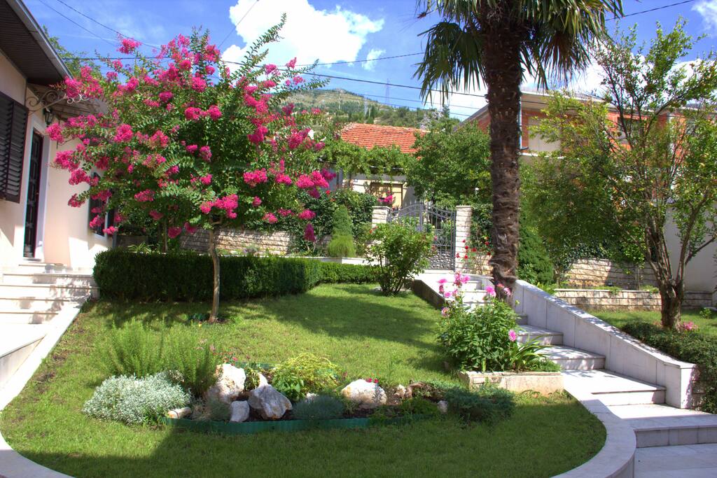 The garden.