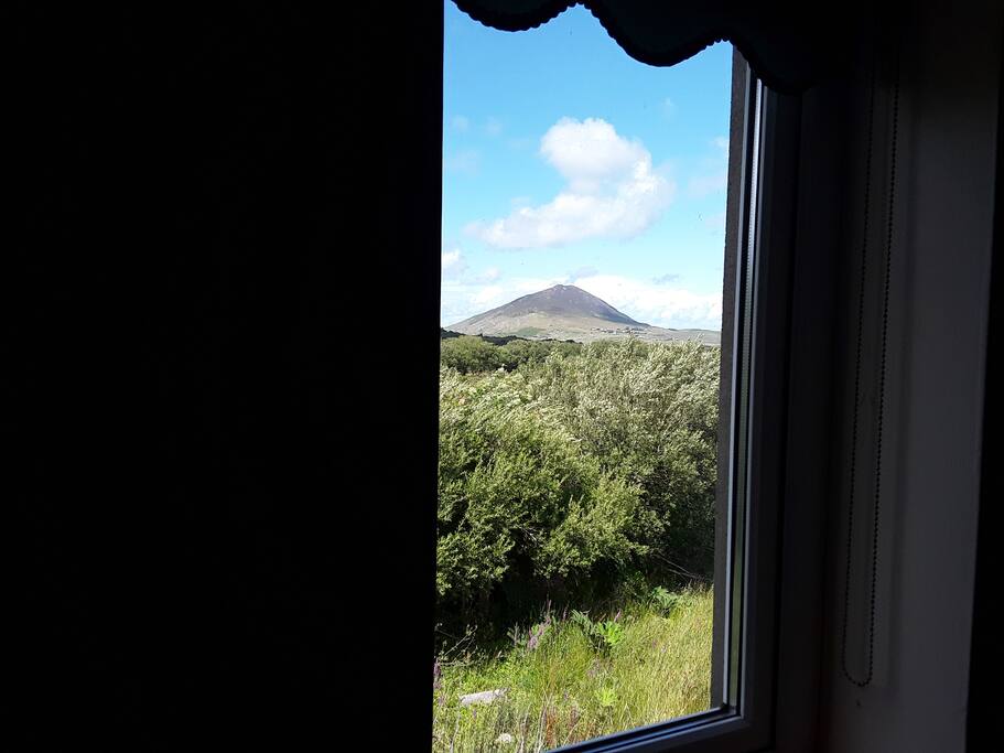 View from the room