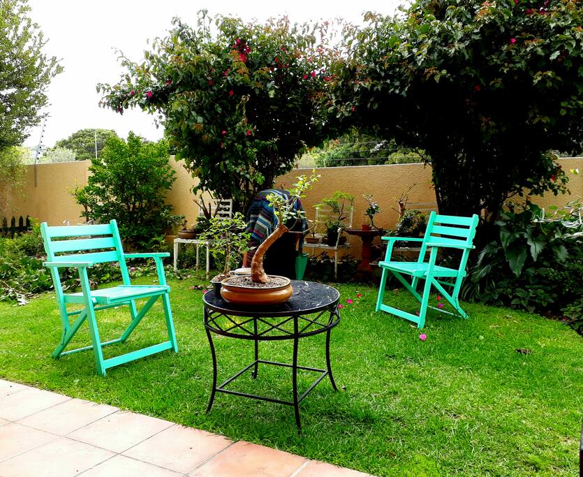 Our idyllic spot, with bougainvillea shade.
