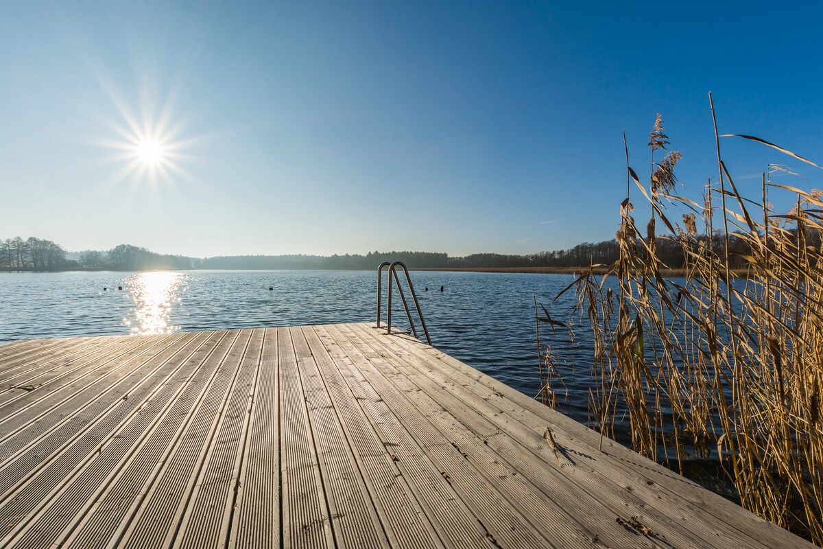 A wooden dock extends over a calm lake, with sunlight reflecting off the water's surface. Tall grasses frame the edges, providing a natural border. In the distance, trees line the opposite shore under a clear blue sky.