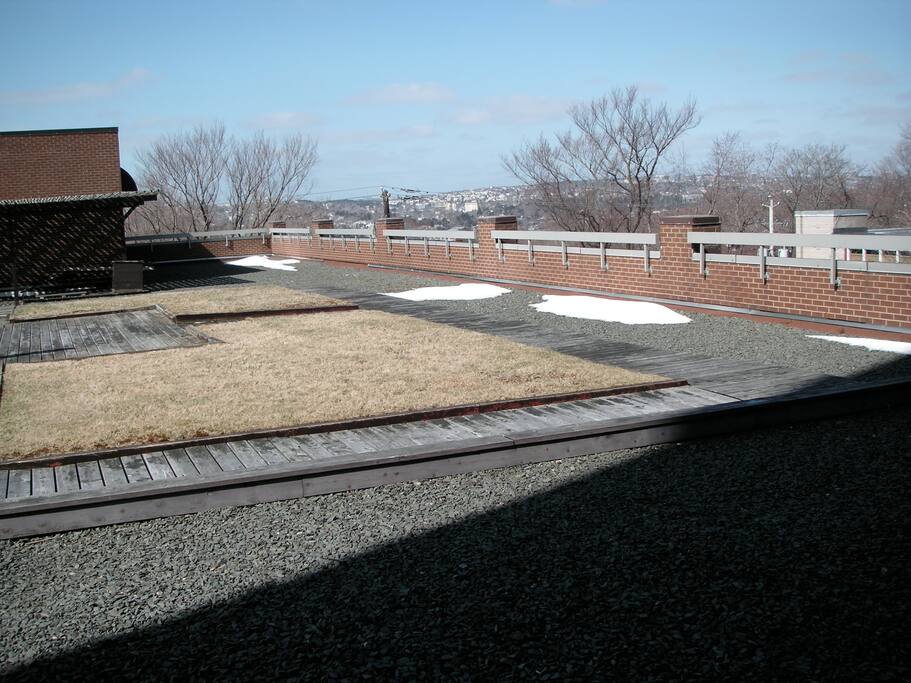 Roof Garden, on floor of my unit