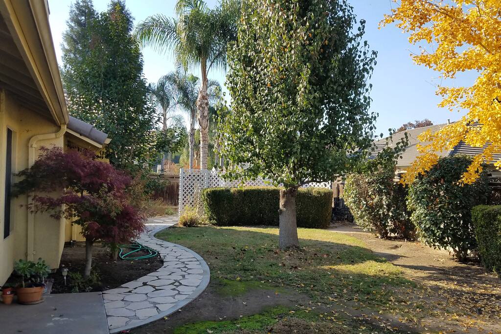 back yard
