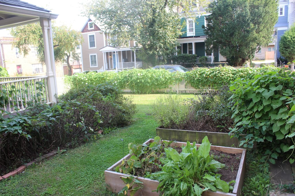 The entire front yard is shared space, so enjoy a walk through the garden and get some grass between your toes!