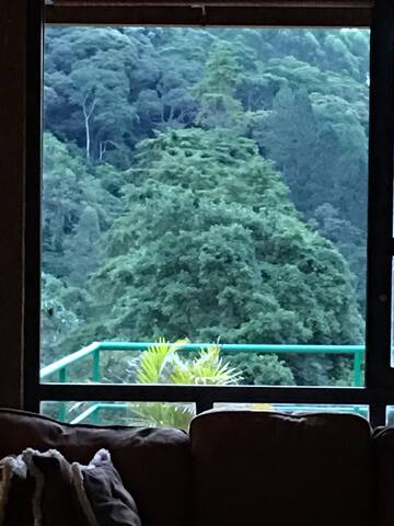 Samadhi Paraíso ecologico gallery image 3