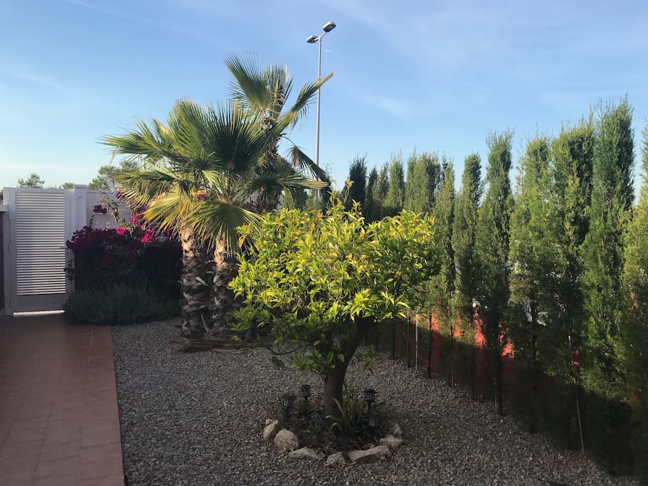 Jardín
