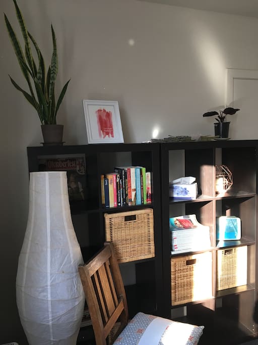 Some books and storage space for you in your room