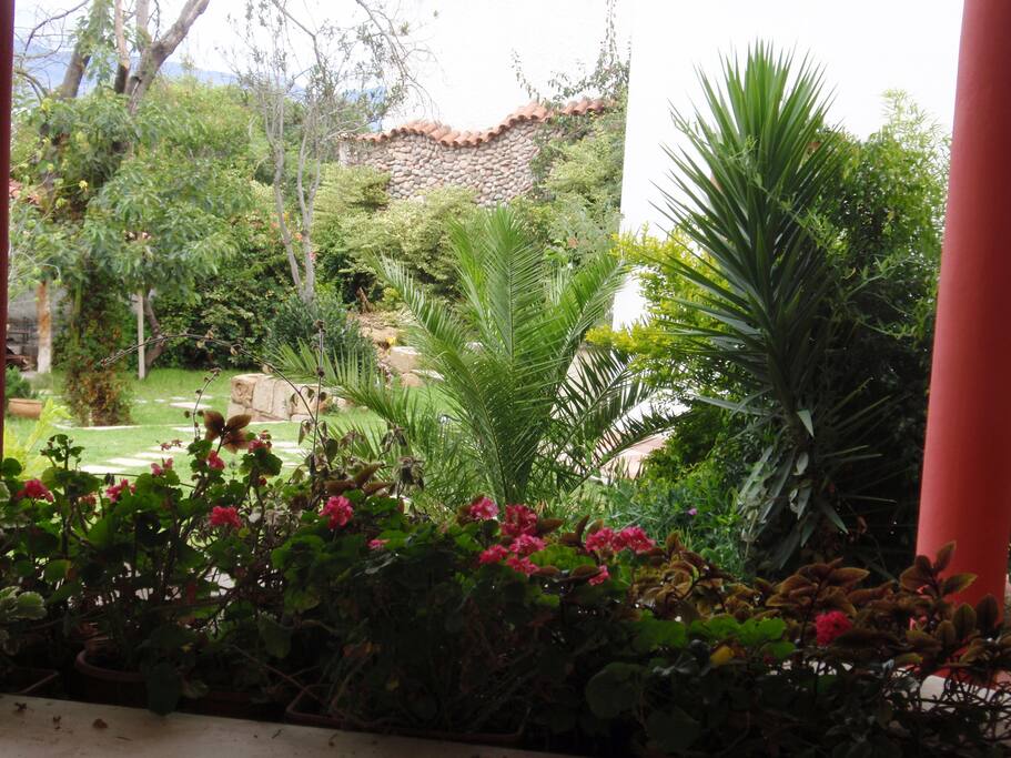 Jardín grande, tranquilidad en el centro de Sucre