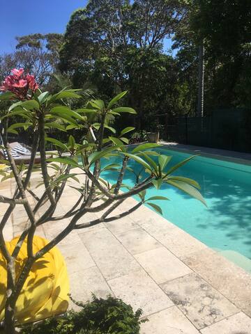 Sunrises over Shelly Beach gallery image 3