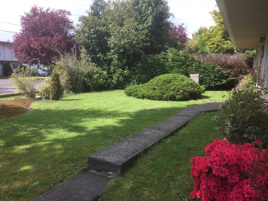Front Yard