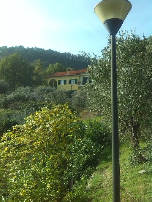 La casa vista dall'ingresso del viale