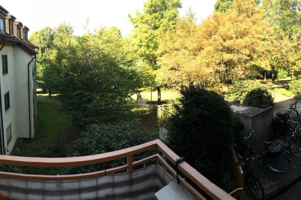 View from the balcony