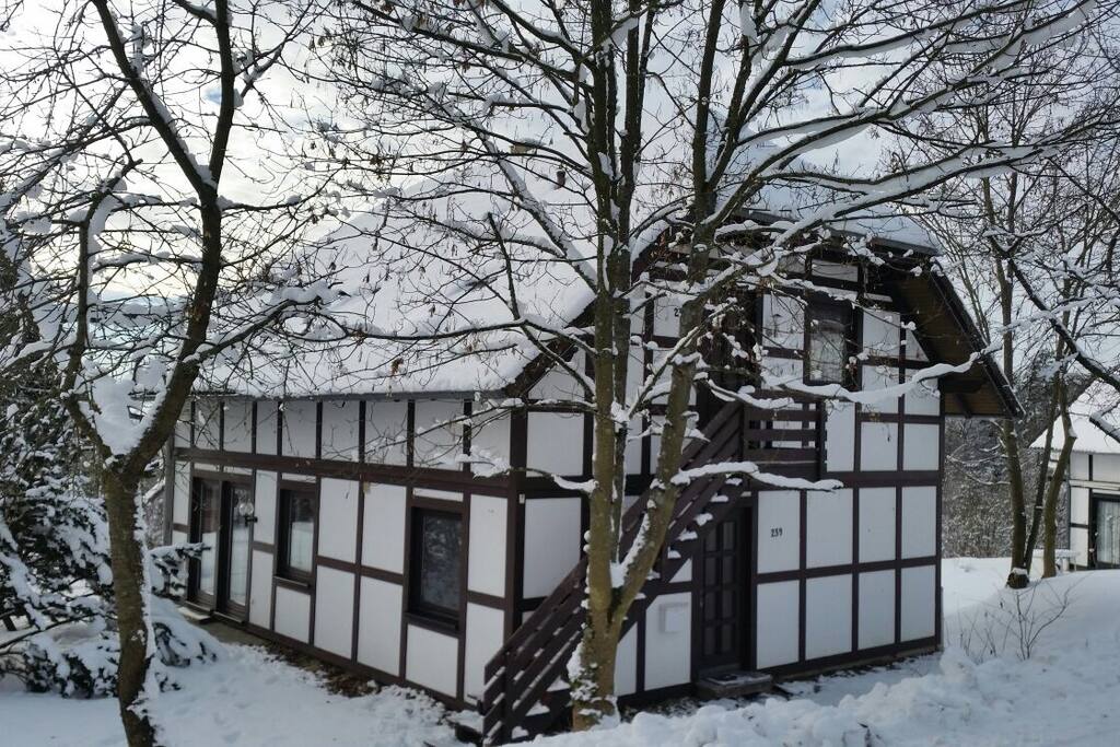 Winter