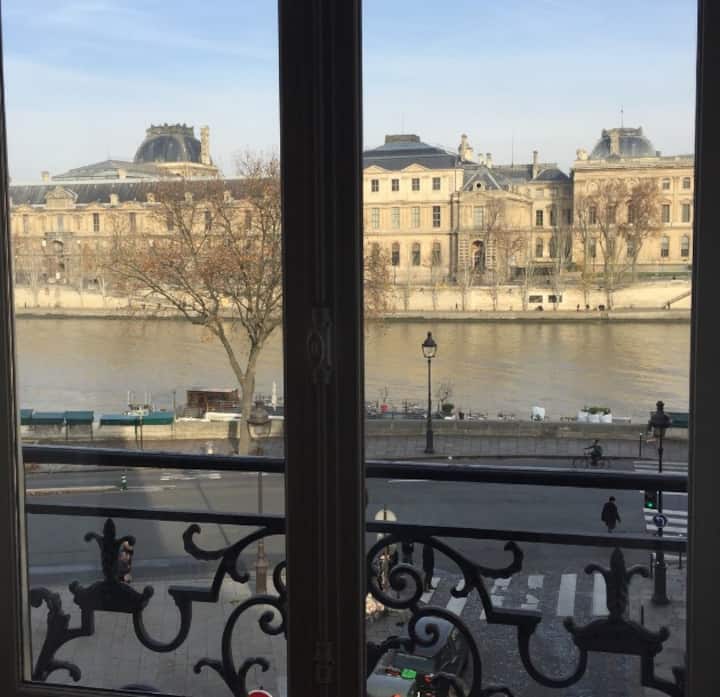 Incredible flat in front of Senna river and Louvre