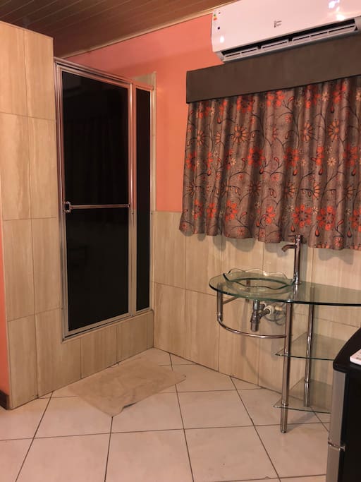 Sink area and shower in double room
