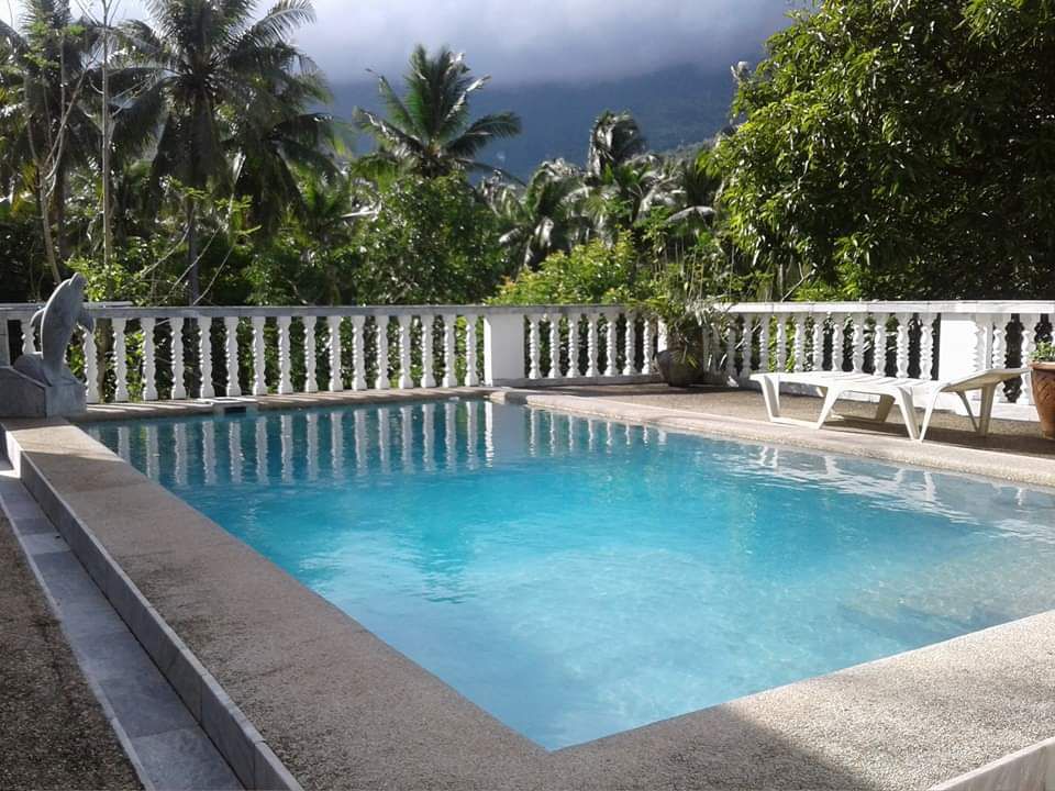 A refreshing pool features clear blue water, surrounded by a spacious deck with lounge chairs. Lush greenery and palm trees create a natural backdrop, while a white railing adds an elegant touch to the area.