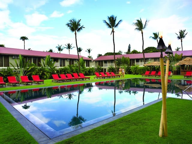 SPECIAL 2b/2b at the Beautiful Tropical Aina Nalu!