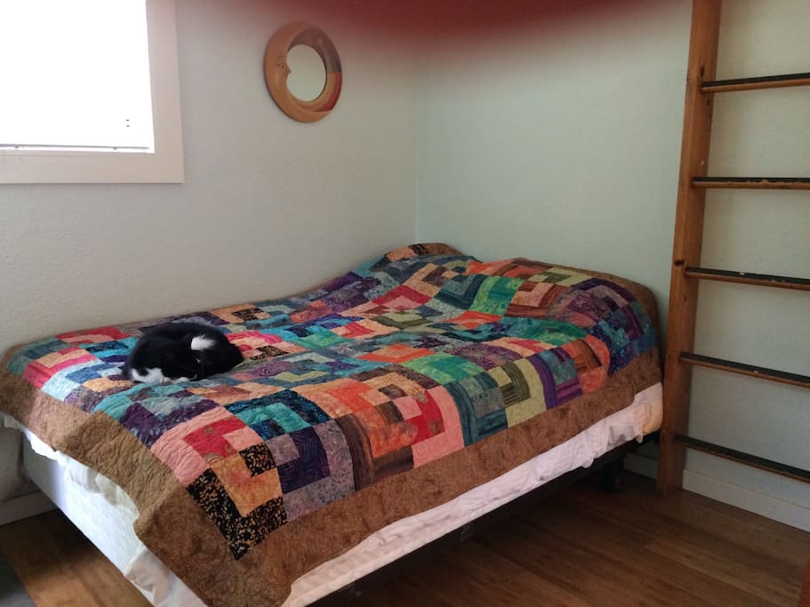 Full size bed. The cat is just visiting.