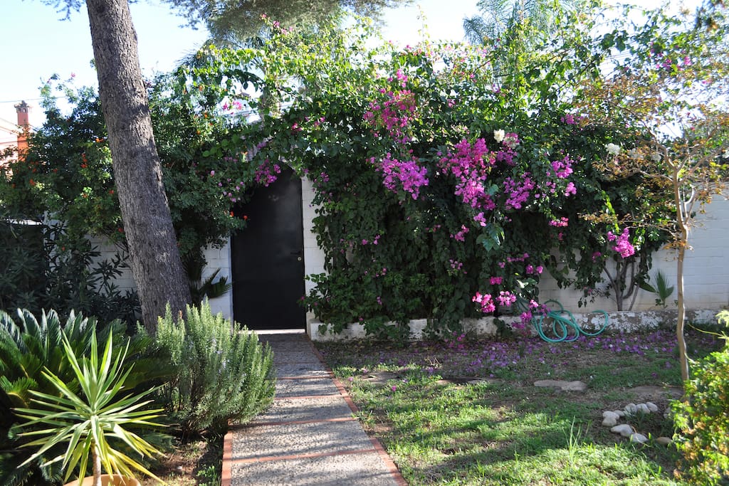 Jardín delante