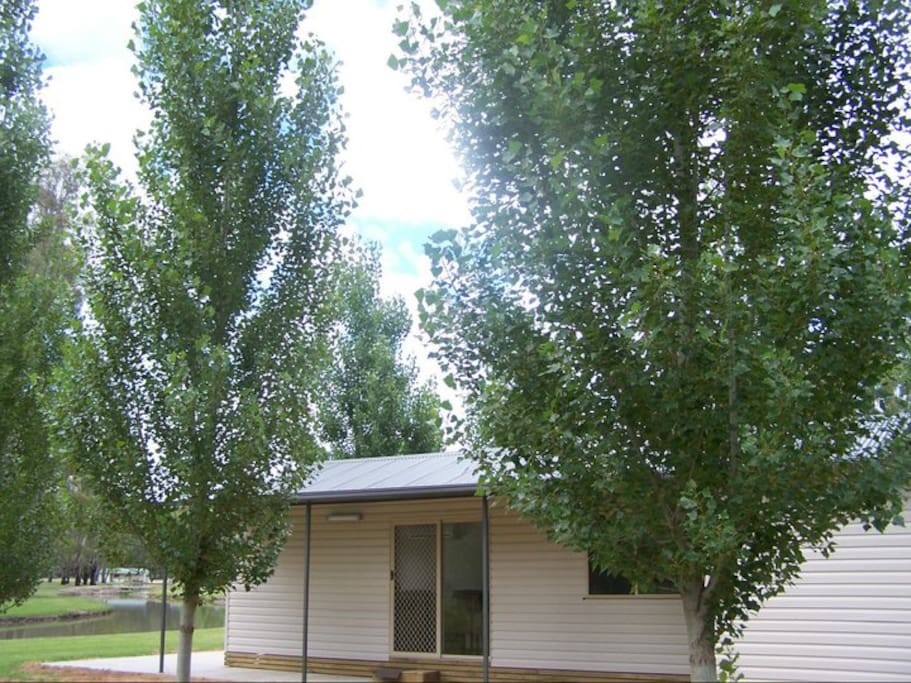 Cabin amongst the poplar trees.