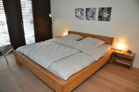 Beautiful 3-room apartment with 2 bedrooms (1492)