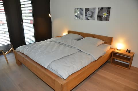 Beautiful 3-room apartment with 2 bedrooms (1492)