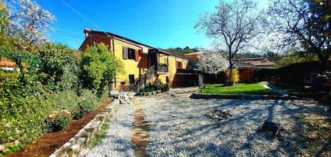 Trieste for you. Nature and relaxation.