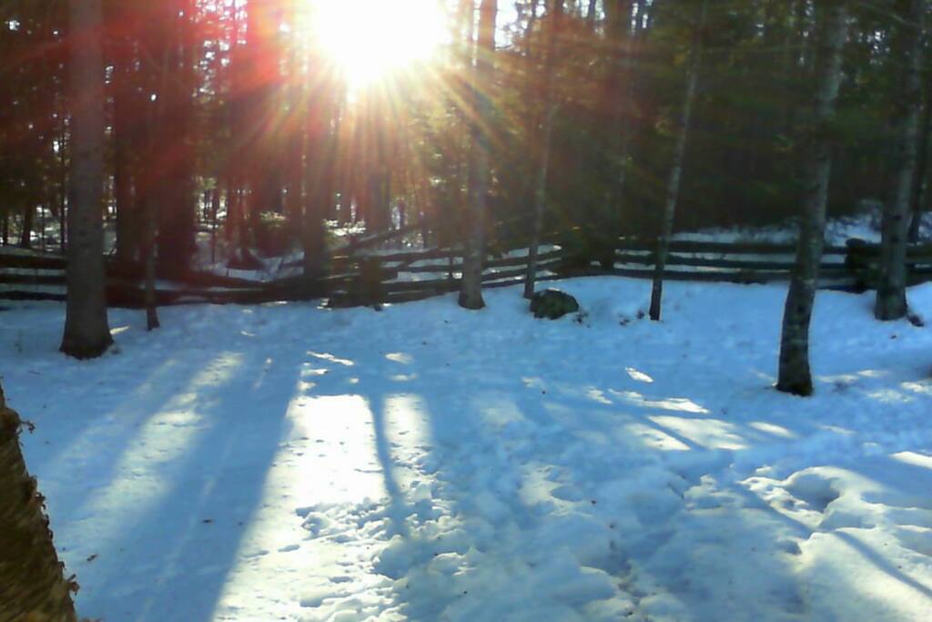 Winter view at from back deck