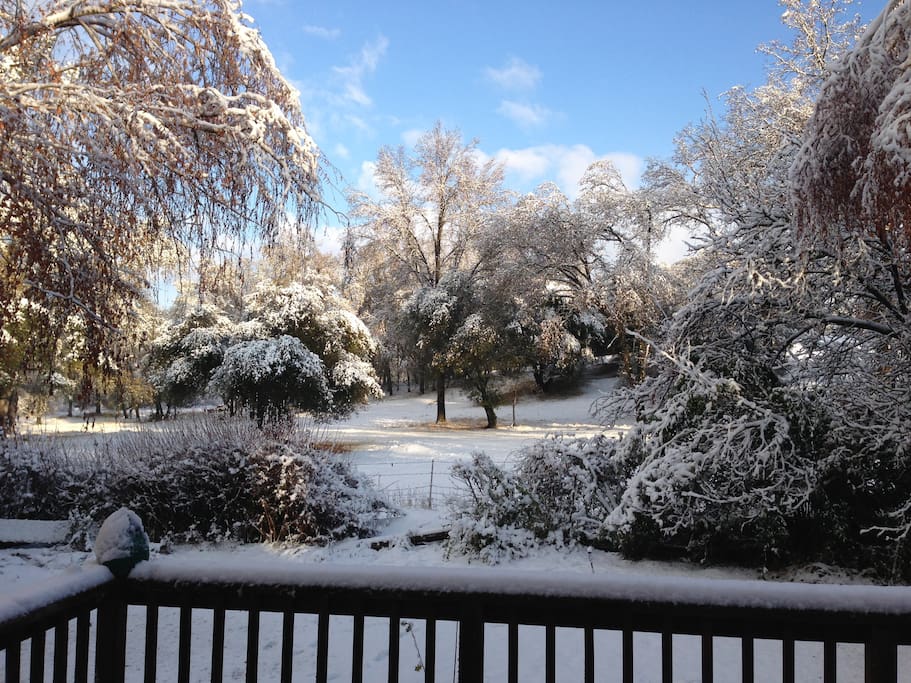 Here is the back yard view after the rare snowfall.