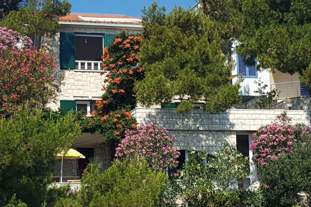 Haus direkt am Meer