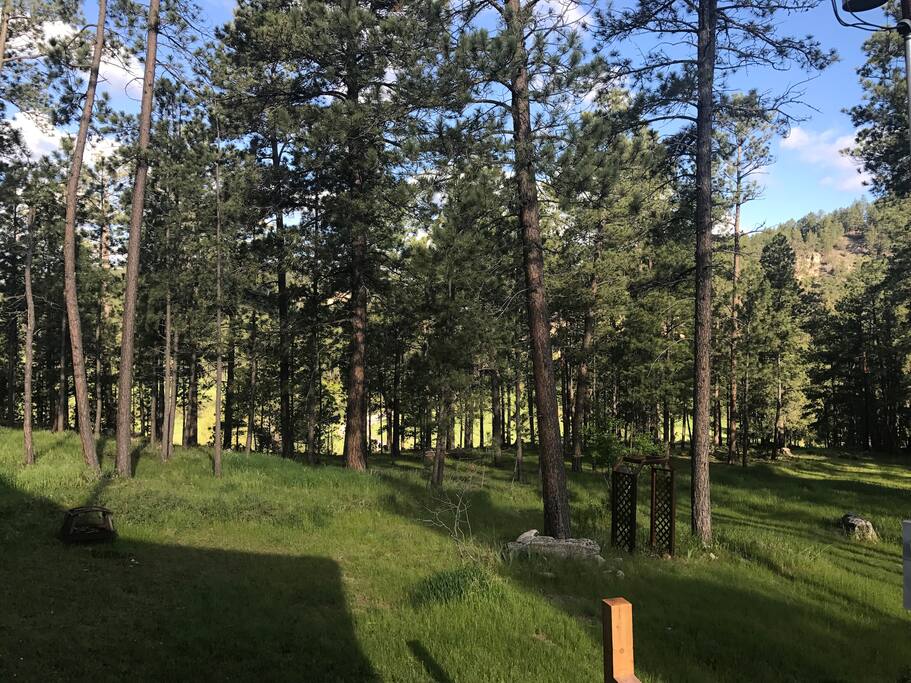 Wooded areas to walk and enjoy views