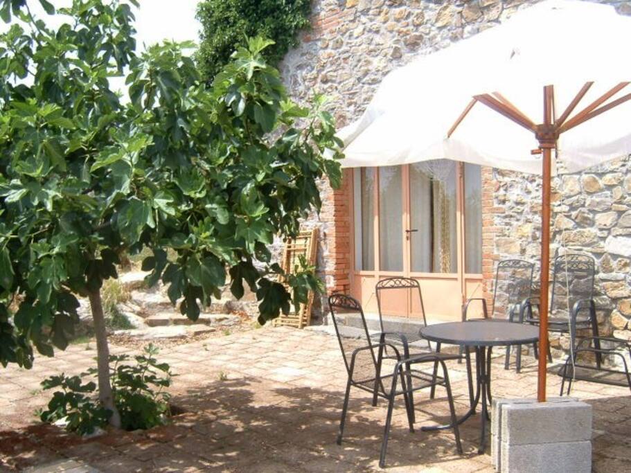 Terrazza Appartamento STELLA SUD