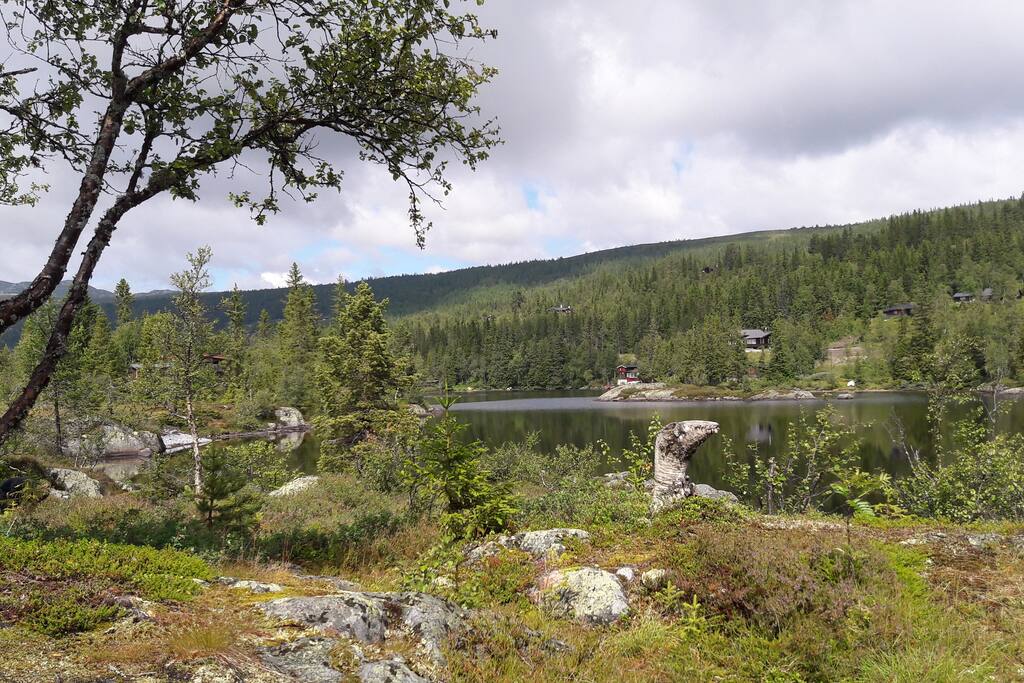 Utsikt fra hytta.