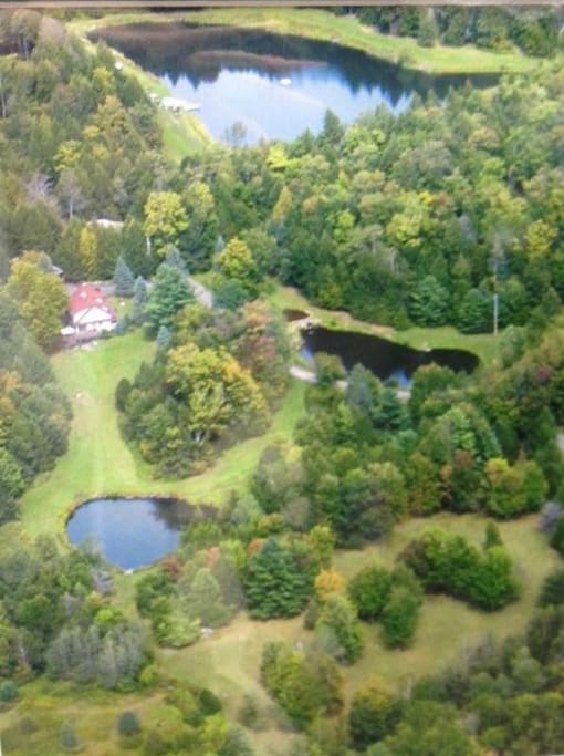40 acres, lake in the back