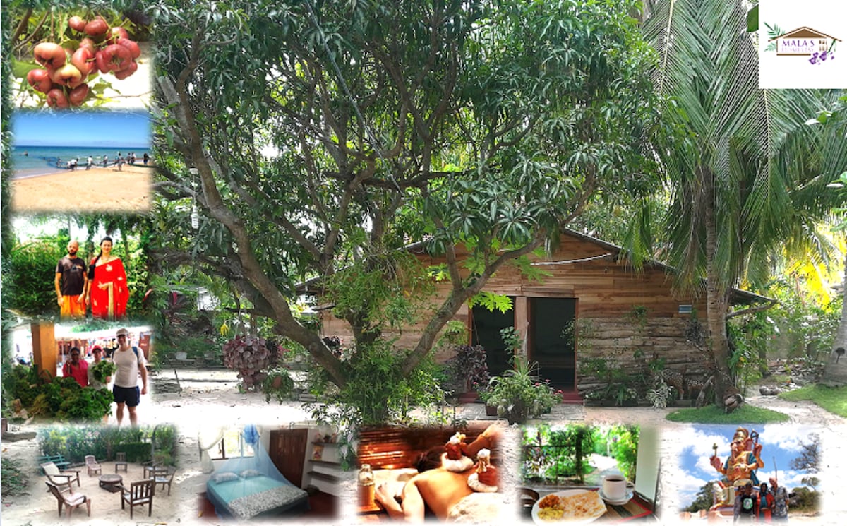 A charming wooden cottage nestled beneath a large tree, surrounded by lush greenery. Bright tropical plants frame the entrance, while the cottage's rustic exterior complements the natural setting. A tranquil atmosphere invites relaxation and connection with nature.
