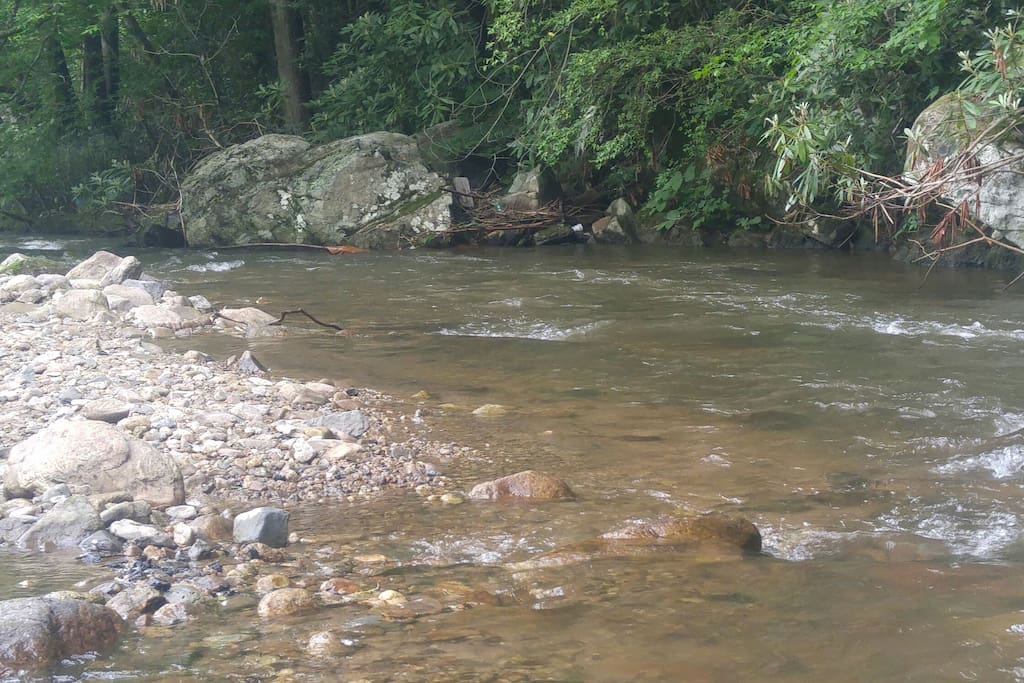 A river is more than an amenity, it is a treasure. Oliver Wendell Holmes